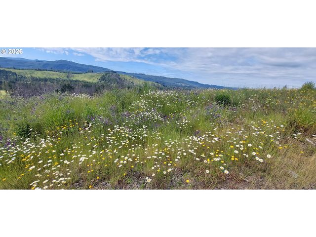 10855 KUBIN Rd Se, Lyons, OR 97358