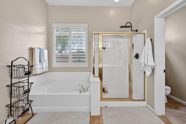 373 W MACAW Drive, Chandler, AZ 85286