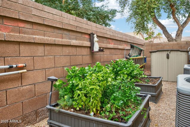 373 W MACAW Drive, Chandler, AZ 85286