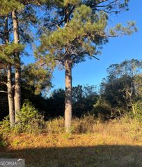 2573 Peacock Street, Macon, GA 31206