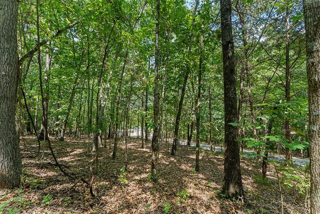 .64 acres War Eagle Blacktop Road, Springdale, AR 72764