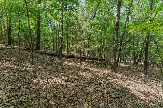 .64 acres War Eagle Blacktop Road, Springdale, AR 72764