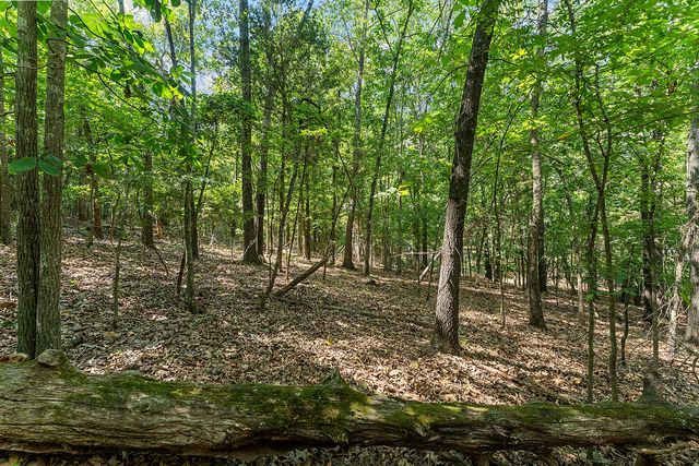 .64 acres War Eagle Blacktop Road, Springdale, AR 72764