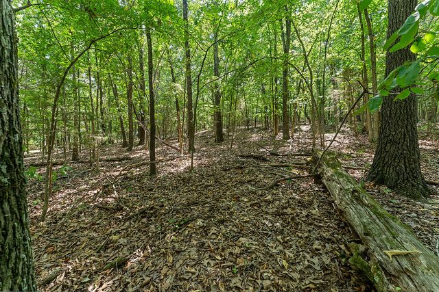 .64 acres War Eagle Blacktop Road, Springdale, AR 72764