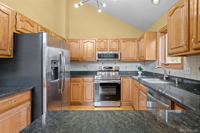 32438 Little Cub Road, Evergreen, CO 80439