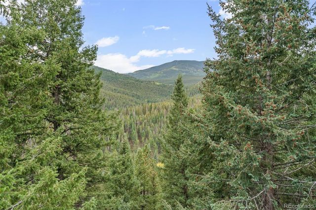 32438 Little Cub Road, Evergreen, CO 80439
