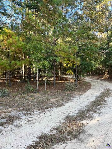 2382 Gallimore Mill Road, Jeffersonville, GA 31044