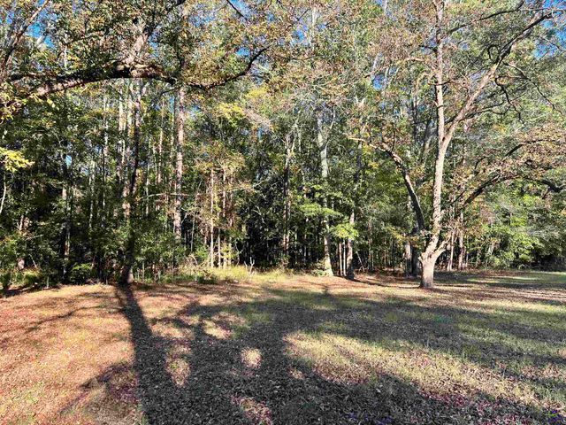 2382 Gallimore Mill Road, Jeffersonville, GA 31044