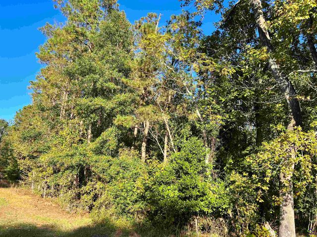 2382 Gallimore Mill Road, Jeffersonville, GA 31044