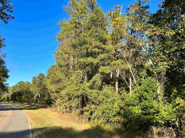 2382 Gallimore Mill Road, Jeffersonville, GA 31044