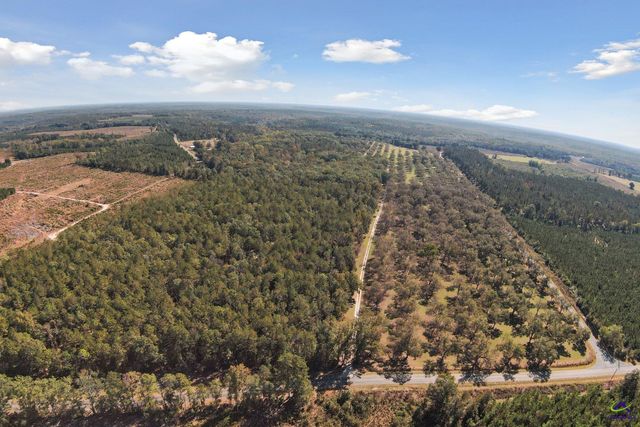 2382 Gallimore Mill Road, Jeffersonville, GA 31044