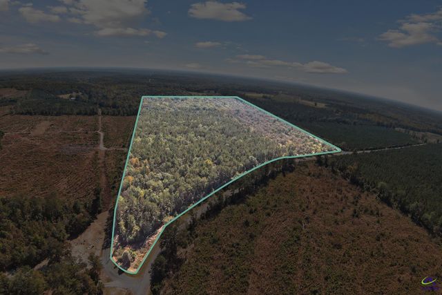 2382 Gallimore Mill Road, Jeffersonville, GA 31044