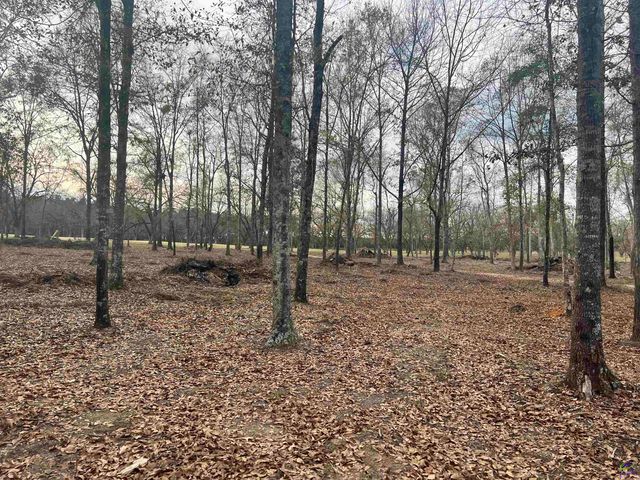 2382 Gallimore Mill Road, Jeffersonville, GA 31044