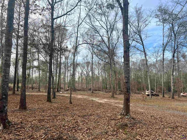 2382 Gallimore Mill Road, Jeffersonville, GA 31044