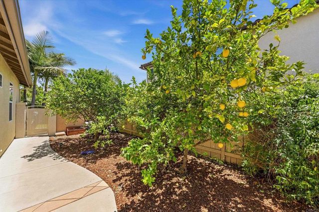 828 Settlers Court, San Marcos, CA 92069