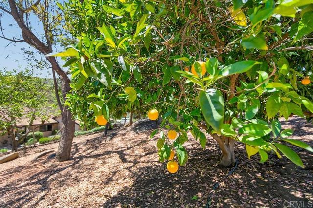 21041 Black Canyon Road, Ramona, CA 92065
