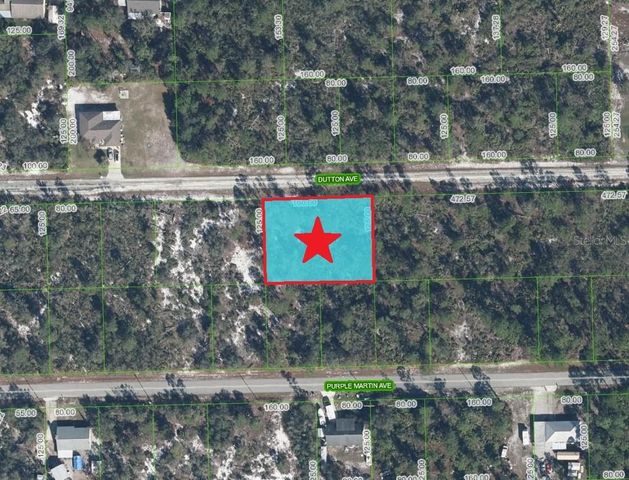 3262 PLOVER AVENUE, Lake Placid, FL 33852