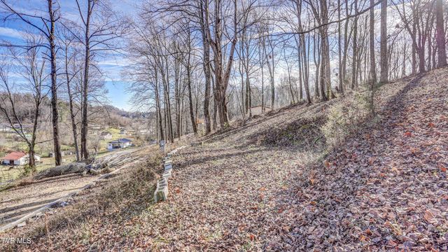 337 Johnson Cemetery Road Lot 14, Blountville, TN 37617