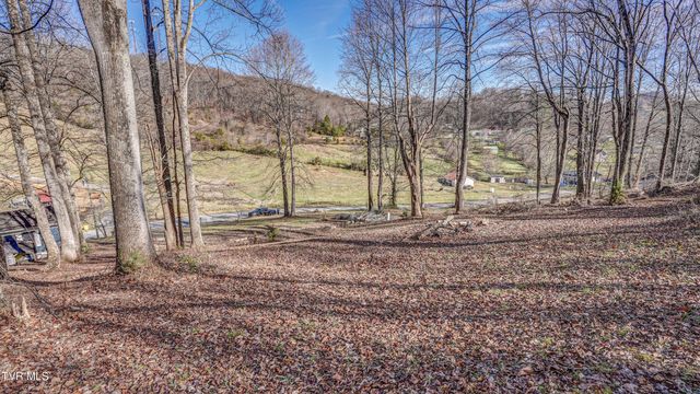 337 Johnson Cemetery Road Lot 14, Blountville, TN 37617