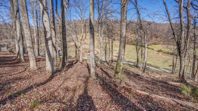 337 Johnson Cemetery Road Lot 14, Blountville, TN 37617