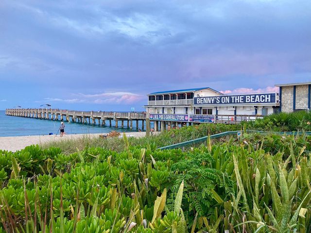 3545 S Ocean Boulevard 312, South Palm Beach, FL 33480