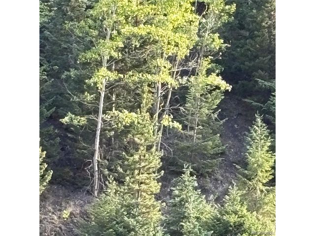 3 Miners Rd, Black Hawk, CO 80422