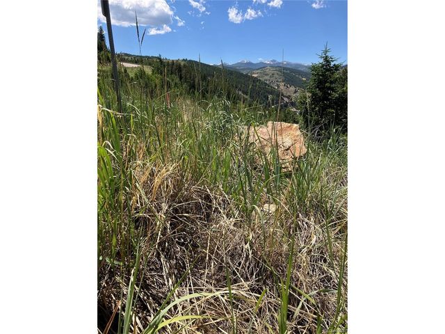 3 Miners Rd, Black Hawk, CO 80422