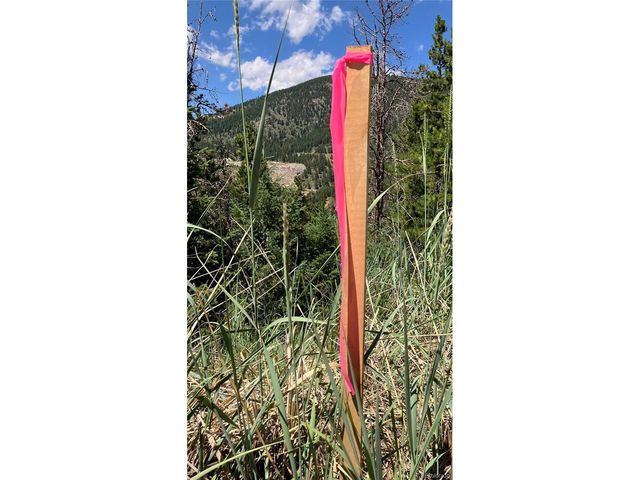 3 Miners Rd, Black Hawk, CO 80422