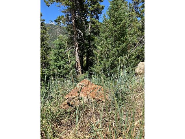 3 Miners Rd, Black Hawk, CO 80422