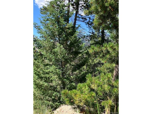 3 Miners Rd, Black Hawk, CO 80422