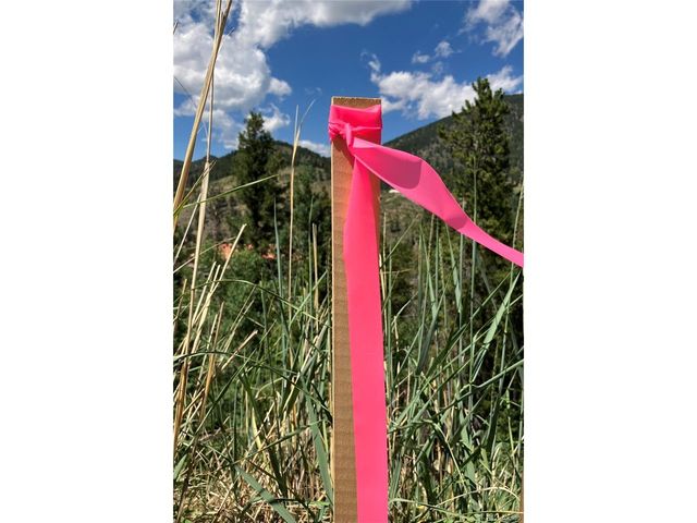 3 Miners Rd, Black Hawk, CO 80422