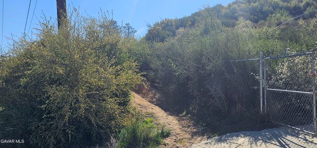 Newview Drive, Lake Hughes, CA 93532