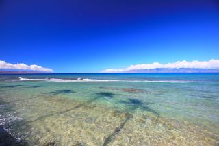 3543 Lower Honoapiilani Rd # C107, Lahaina, HI 96761