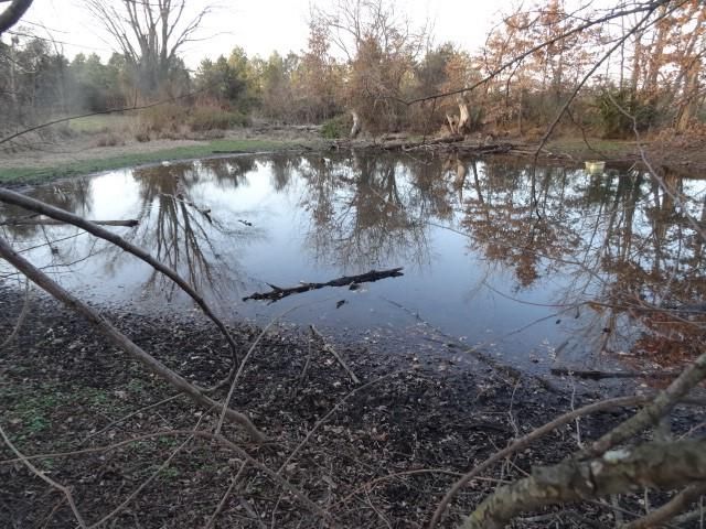 14769 NE State Route E Highway, Adrian, MO 64720