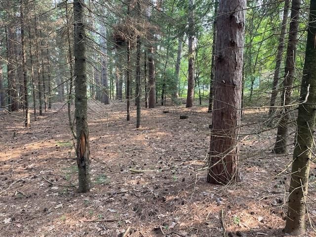 Lot 2 PLANTATION LANE, Kronenwetter, WI 54455