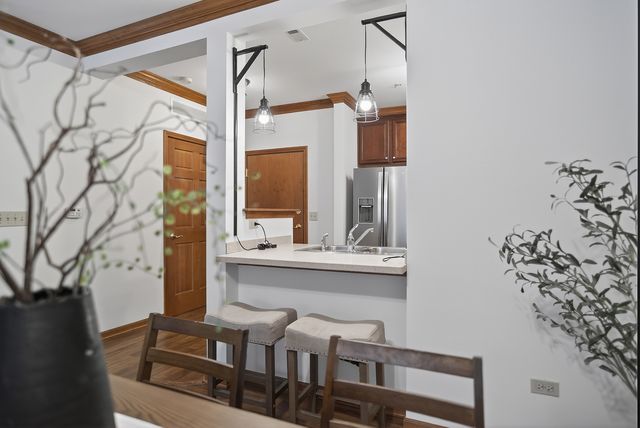 10 Ford Street 103, Geneva, IL 60134