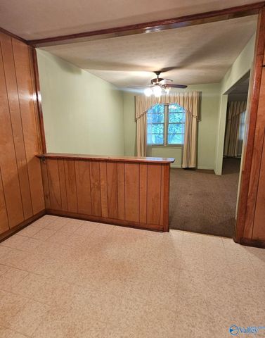 302 Jo Cyn Drive, Glencoe, AL 35905