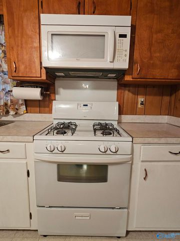 302 Jo Cyn Drive, Glencoe, AL 35905