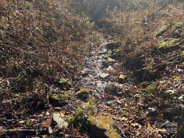 520 Renfro Road, Green Mountain, NC 28740