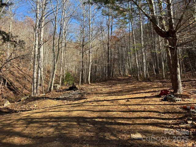 520 Renfro Road, Green Mountain, NC 28740