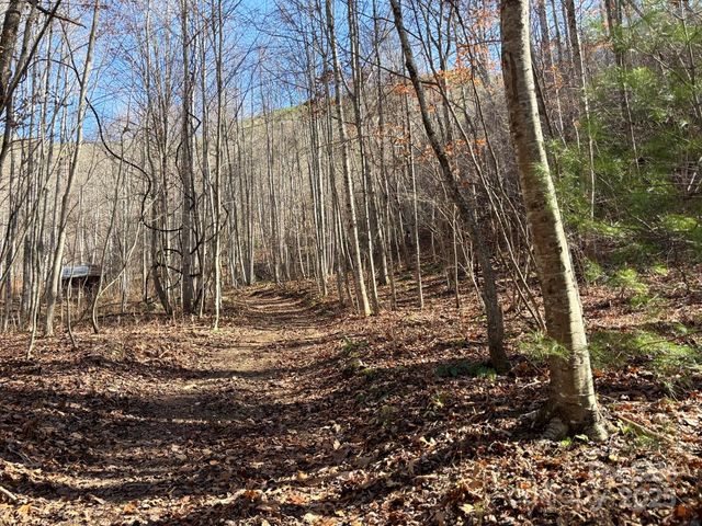 520 Renfro Road, Green Mountain, NC 28740