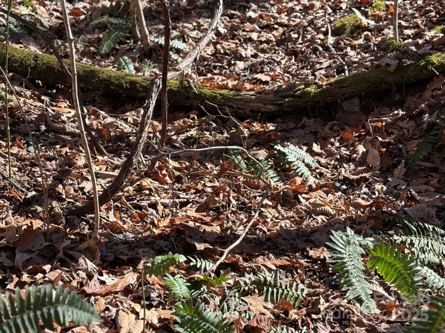 520 Renfro Road, Green Mountain, NC 28740