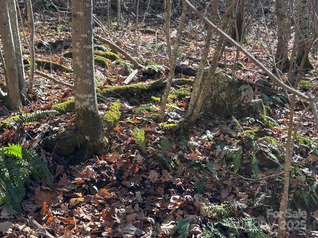 520 Renfro Road, Green Mountain, NC 28740