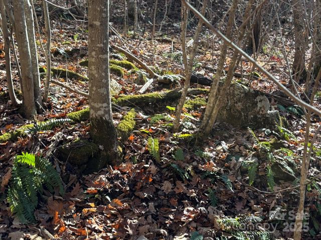 520 Renfro Road, Green Mountain, NC 28740