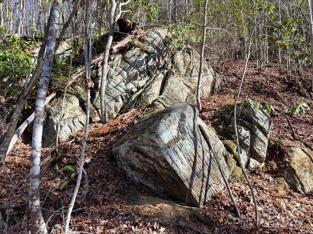 520 Renfro Road, Green Mountain, NC 28740