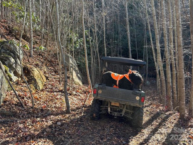 520 Renfro Road, Green Mountain, NC 28740