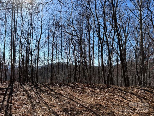 520 Renfro Road, Green Mountain, NC 28740