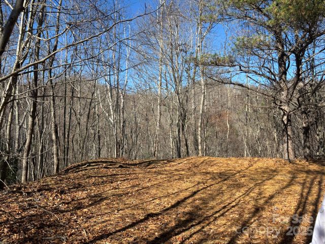 520 Renfro Road, Green Mountain, NC 28740