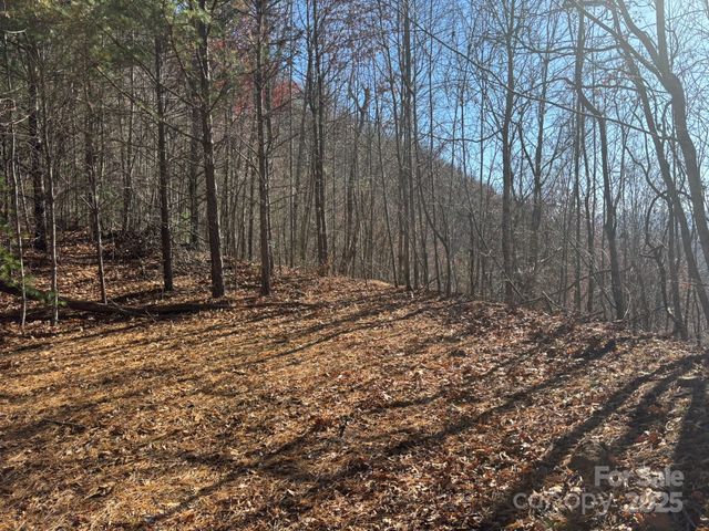 520 Renfro Road, Green Mountain, NC 28740