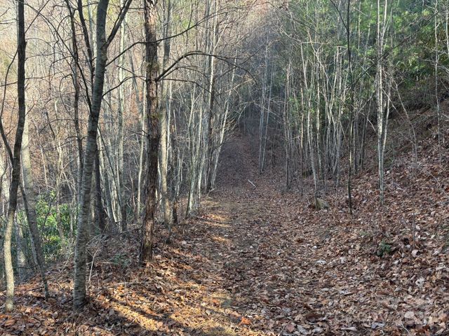 520 Renfro Road, Green Mountain, NC 28740